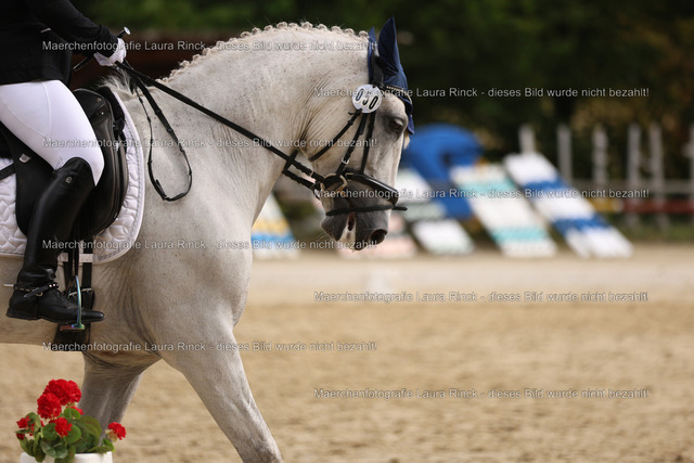 HG9A0760 | laurarinckfotografie - Realisiert mit Pictrs.com