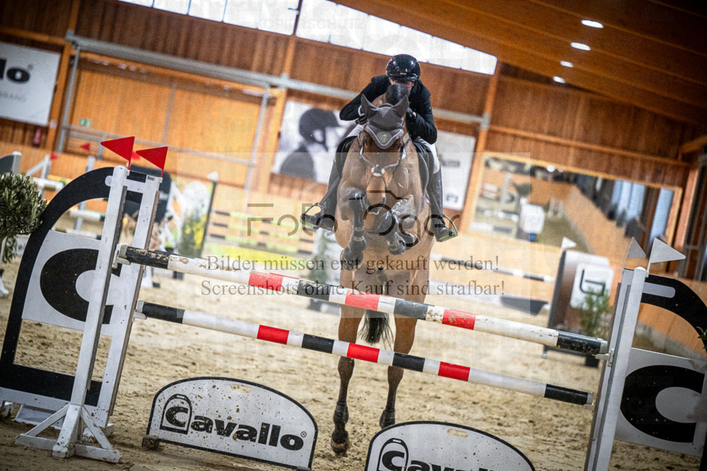 DOS_1991 | Entdecke hochwertige Reitturnierfotos von Foto Oger. Professionell, emotional und authentisch – jetzt Lieblingsmomente im Shop bestellen.Deutschlandweite Turnierfotografie. - Realisiert mit Pictrs.com