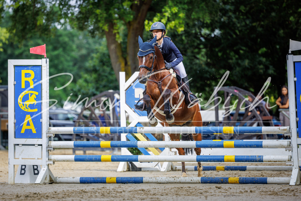 20260705-_3LI3920 | Tierfotografie Pferde, Hunde, Katzen, Haustiere.
Turnierfotografie Reitturniere, Reiten, Springreiten, Dressur in Hanau, dem Main-Kinzig-Kreis und dem Rhein-Main- Gebiet um Frankfurt