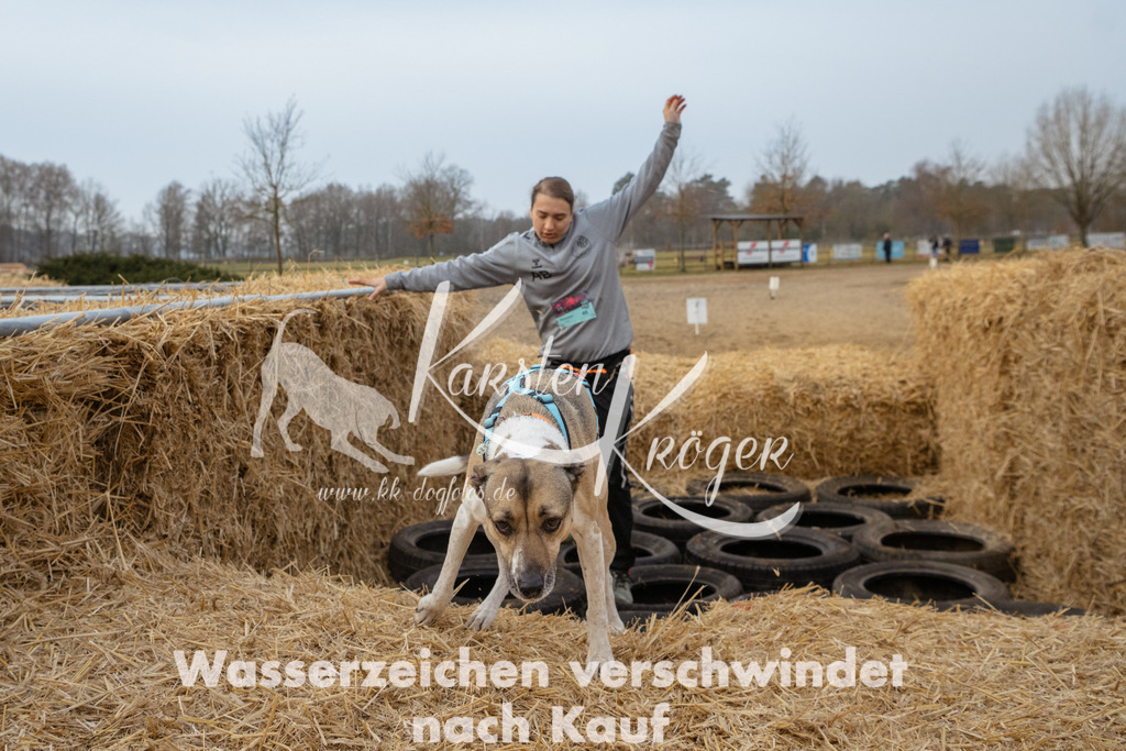0836_ZZ93615 | kk-dogfotos