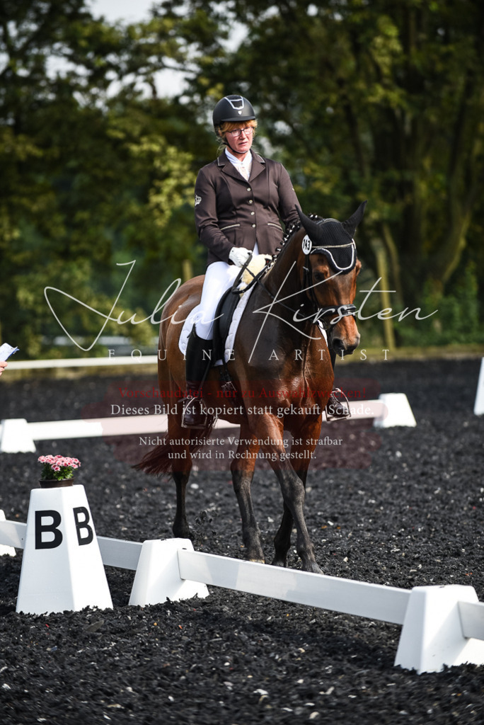 DSC_3080 | Pferde- und Turnierfotografie in Westsachsen. Pferdeportraits, Auftragszeichnungen und intuitive Kunst.