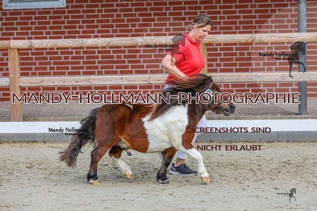 1-8 | mandyhollmannphotographie