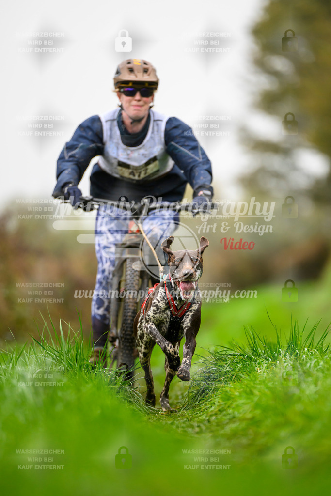 MompixPhotography_20TSB_E8_Bike-119 | PayLife