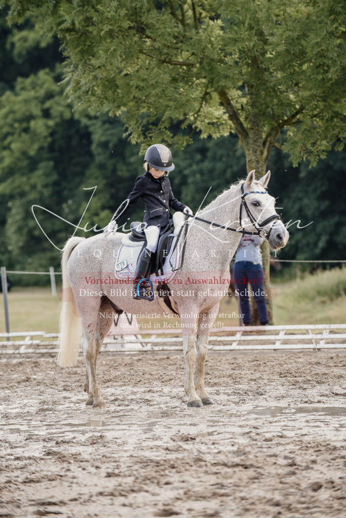 DSC_8293 | Pferde- und Turnierfotografie in Westsachsen. Pferdeportraits, Auftragszeichnungen und intuitive Kunst.