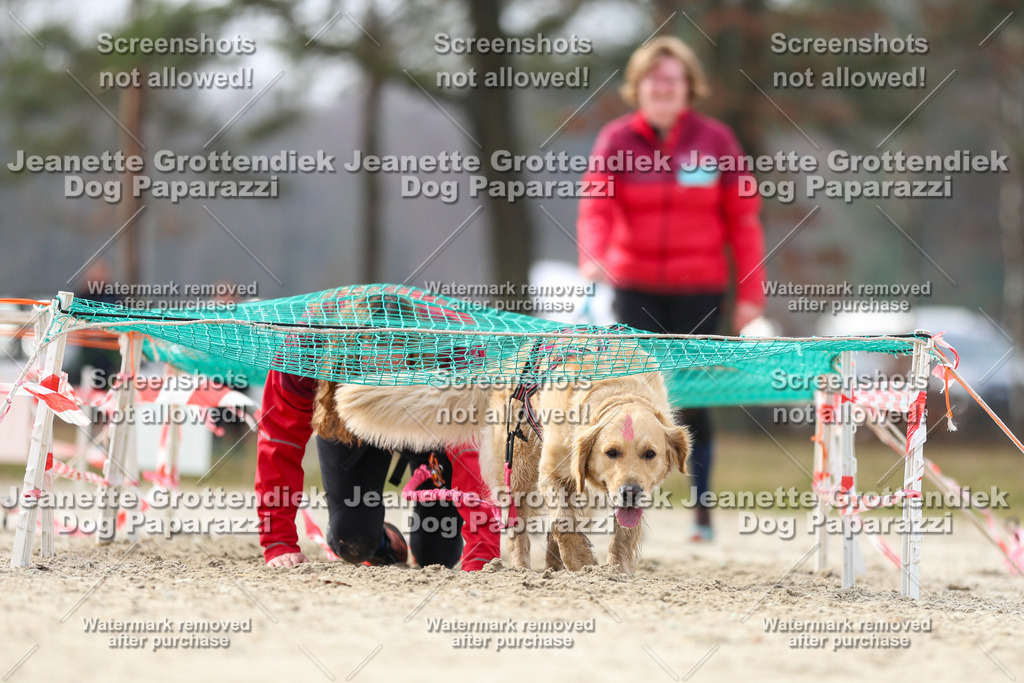 Dog Paparazzi - Strongdog North Mrz26-5350 | Dog Paparazzi Jeanette Grottendiek Fotografie & Videografie - Realisiert mit Pictrs.com