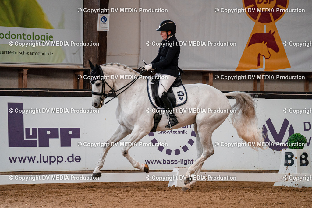 Kranichstein Tag 1-378 | dv-media-shop - Realisiert mit Pictrs.com