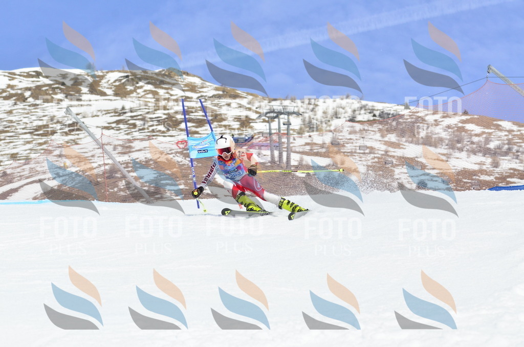 _ELE2022 | holidayphoto