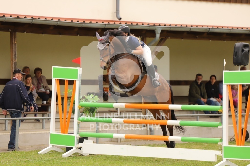 IMG_7805 | Pauline Ullmann Photography - Realisiert mit Pictrs.com