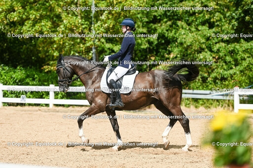 20230715_02_Dressurreiterprüfung Kl.L_0282 | equistock