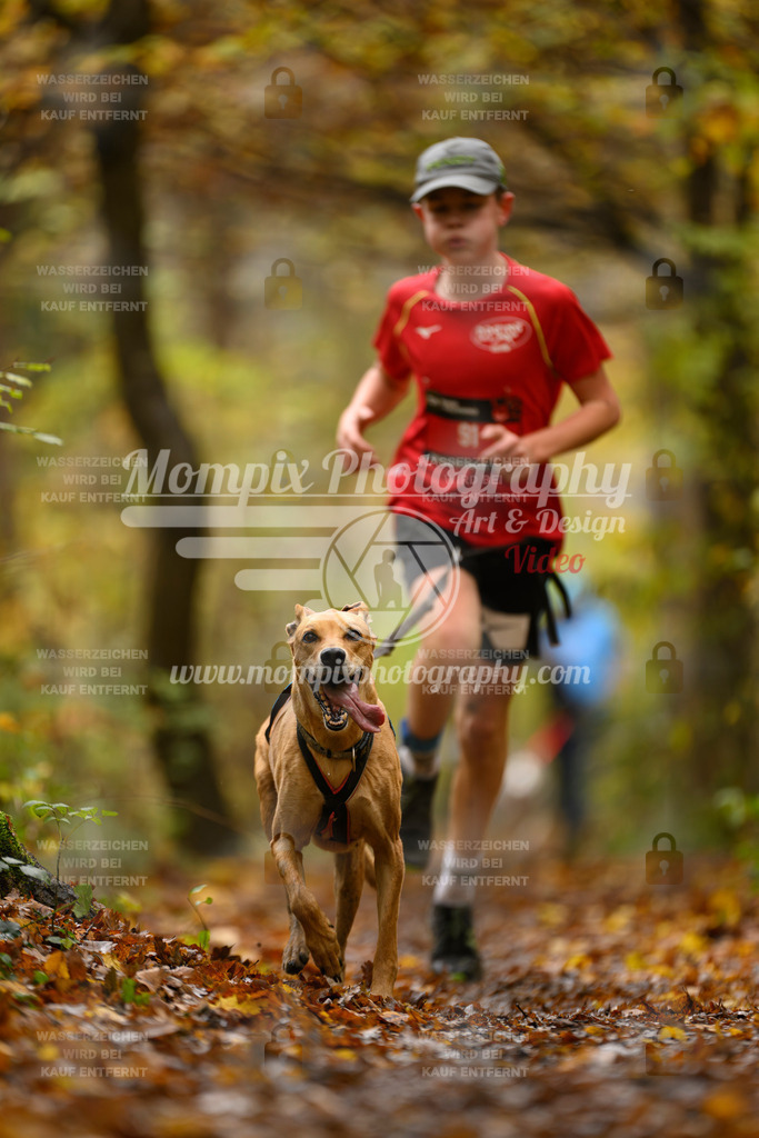 MompixPhotography_CD7S_DI_CCL-70 | mompixphotography