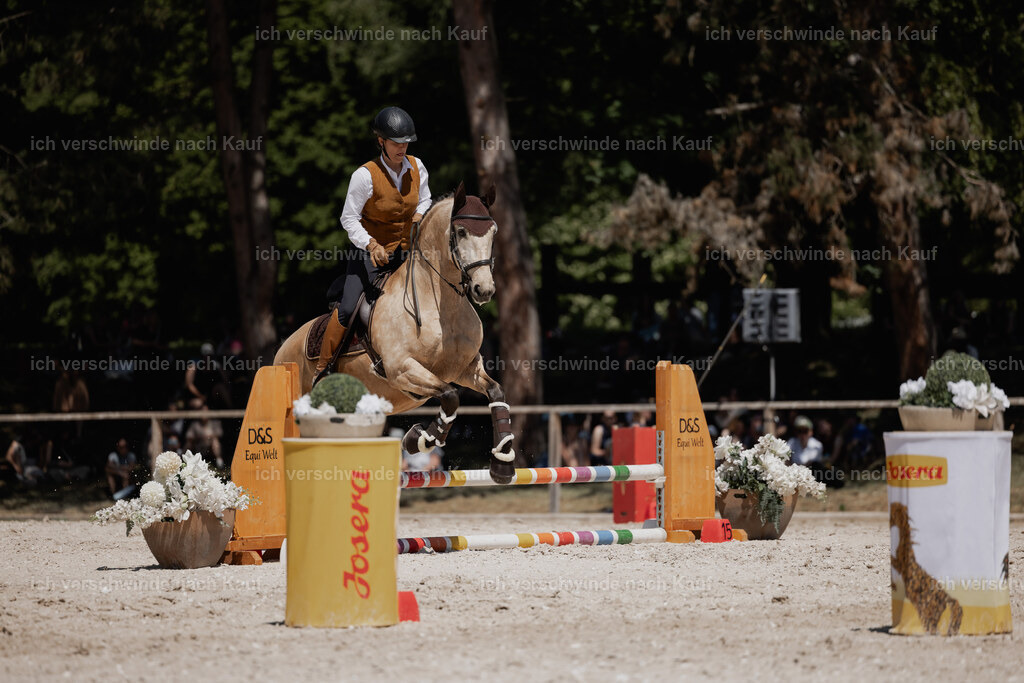 WE_SP_Stoib_334_PI2025_1803 | Pferd International München 2025