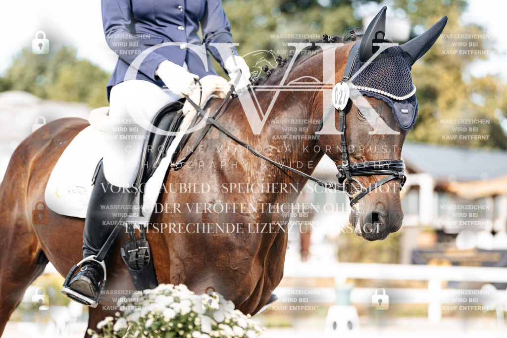 CK905065 | Turnierfotografie Pferdefotografie Trier Rheinland-Pfalz Pferdesport Reitsport Tierfotografie Sportfotografie Pferdevideo Pferdevideografie Equestrianvideography equestrianphotography  - Realisiert mit Pictrs.com