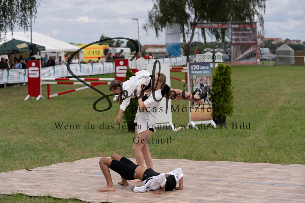 A7V05811 | Pferdefotograf