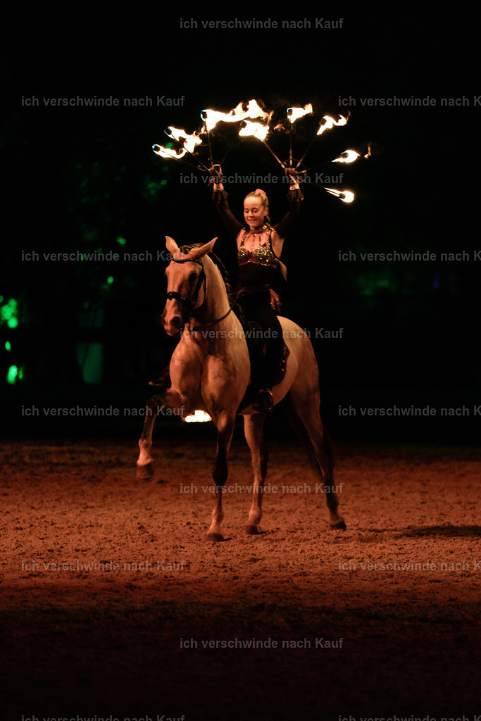 FHClassics-373 | working equitationturnier fotograf videograf stoibphotography marixx film working equitation deutschland reitsport turnierfotografie eventfotografie equestrian events