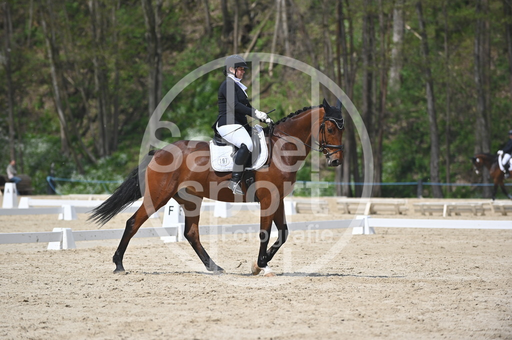 DSC_2098 | sattelsport - Realisiert mit Pictrs.com