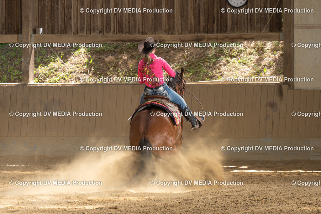 DSC00159 | dv-media-shop - Realisiert mit Pictrs.com