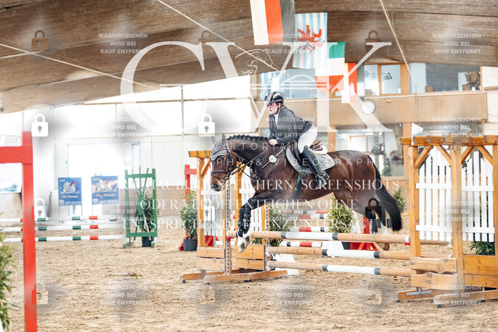 CK904009 | Turnierfotografie Pferdefotografie Trier Rheinland-Pfalz Pferdesport Reitsport Tierfotografie Sportfotografie Pferdevideo Pferdevideografie Equestrianvideography equestrianphotography  - Realized with Pictrs.com