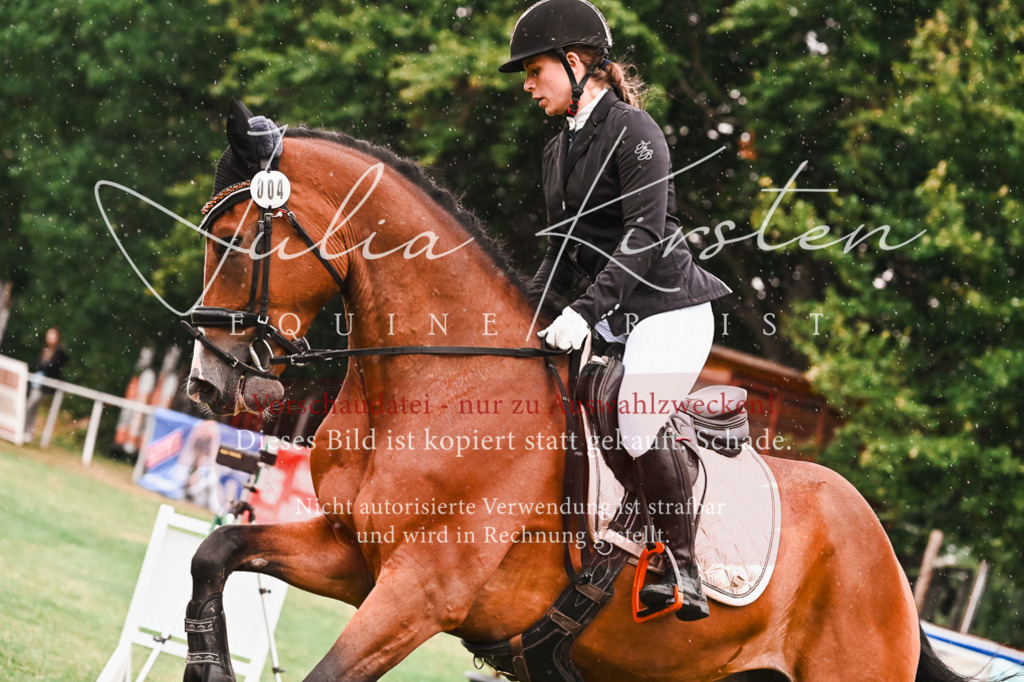 DSC_6613 | Pferde- und Turnierfotografie in Westsachsen. Pferdeportraits, Auftragszeichnungen und intuitive Kunst.