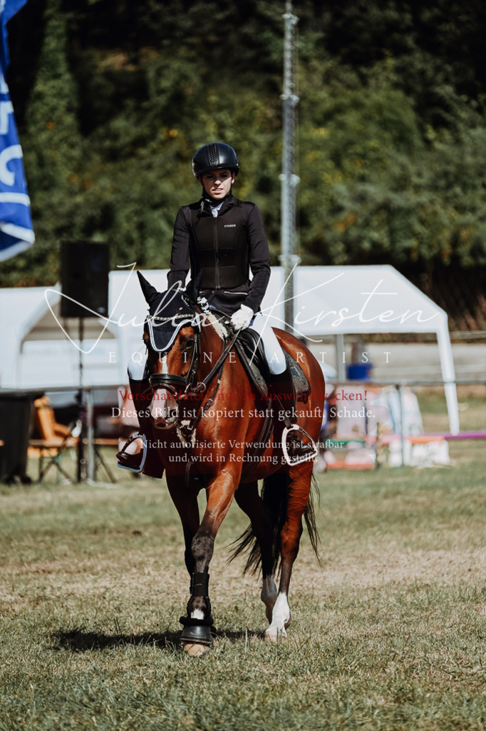 DSC_9784 | Pferde- und Turnierfotografie in Westsachsen. Pferdeportraits, Auftragszeichnungen und intuitive Kunst.