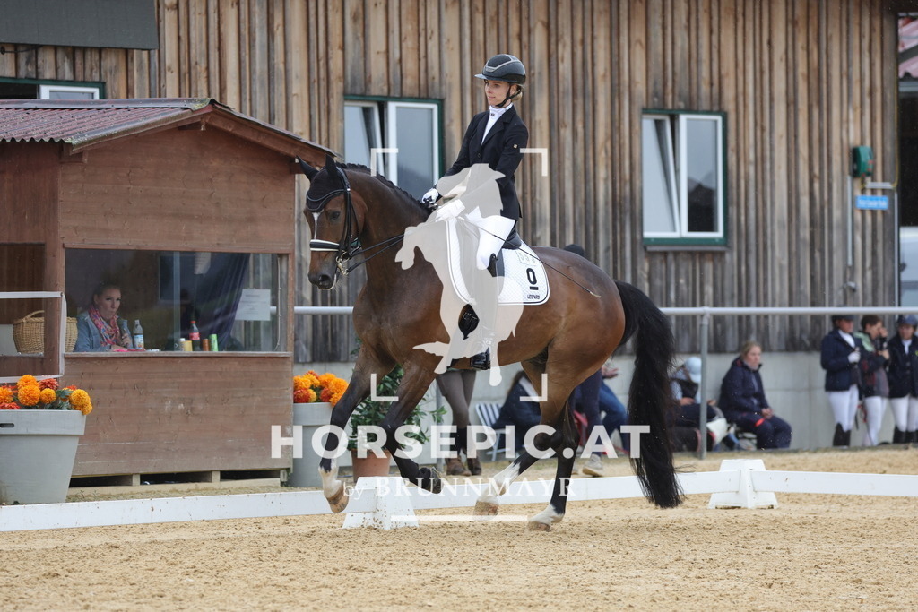 0P6A1019 | Willkommen bei Brunnmayr - Design & Fotografie – Ihrem Spezialisten für Reitturniere und Pferdeveranstaltungen in Oberösterreich, Salzburg und Bayern! Seit über 17 Jahren sind wir leidenschaftlich dabei.