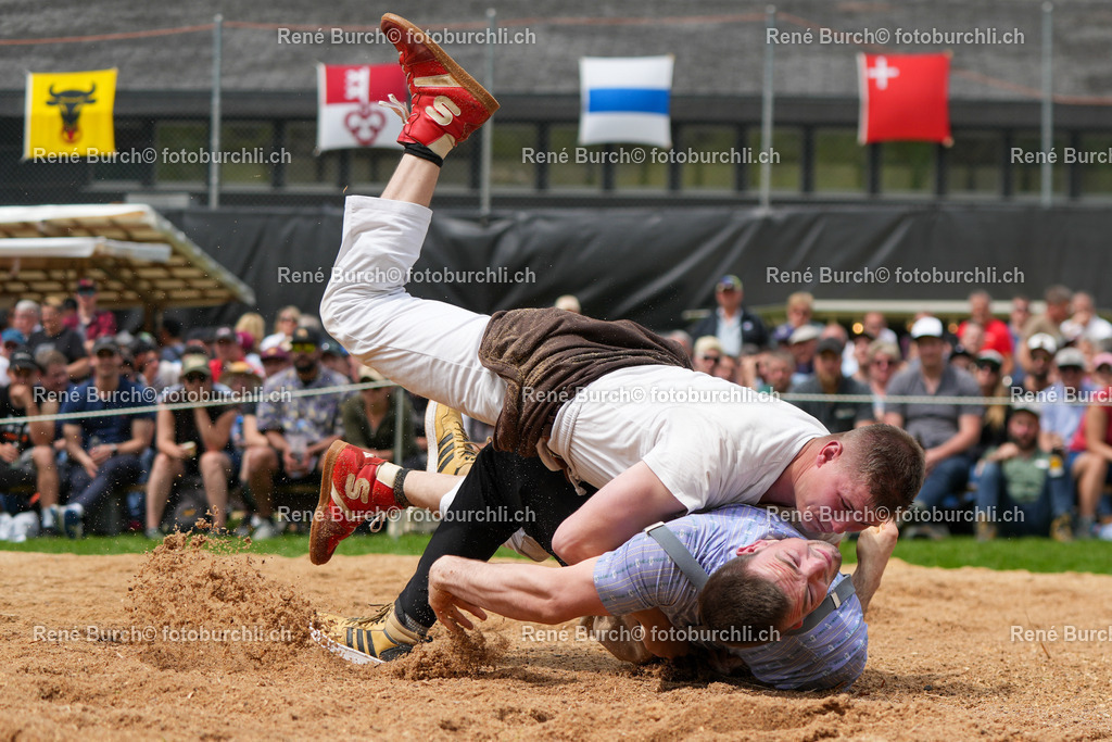 RB-09668 | René Burch leidenschaftlicher Fotograf aus Kerns in Obwalden.  Hier finden sie Sport, Landschaft und Natur Fotografie.
 - Realisiert mit Pictrs.com