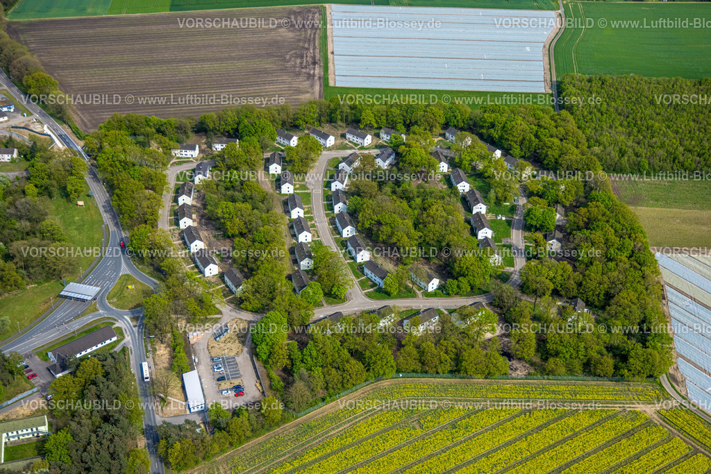 Weeze240402778FlughafenNiederrhein | Luftbild, ovales Wohngebiet Wohnhäuser Tedder Crescent Straße am Flughafenring im Waldgebiet, Wemb, Weeze, Niederrhein, Nordrhein-Westfalen, Deutschland