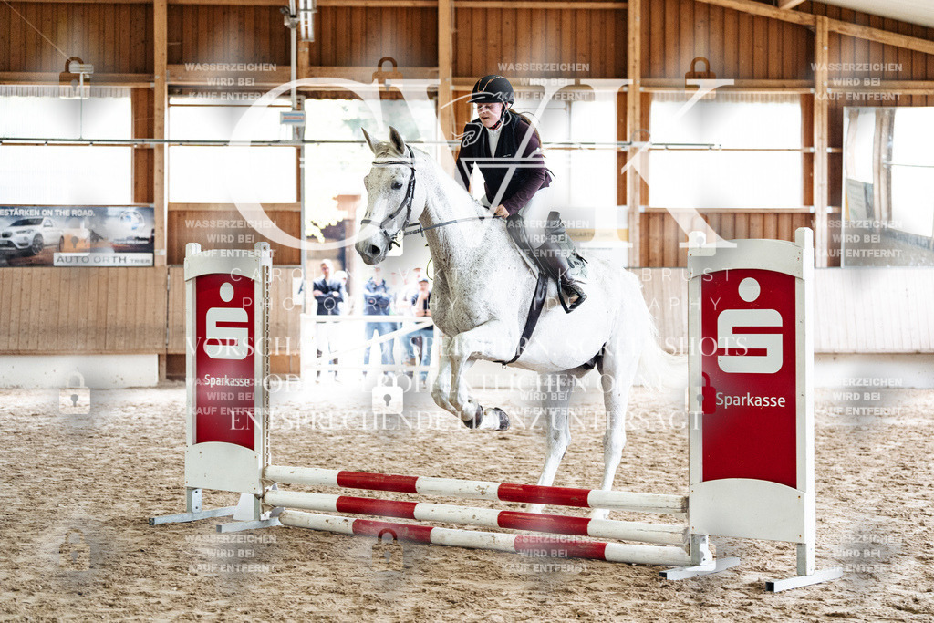 CK902492 | Turnierfotografie Pferdefotografie Trier Rheinland-Pfalz Pferdesport Reitsport Tierfotografie Sportfotografie Pferdevideo Pferdevideografie Equestrianvideography equestrianphotography  - Realisiert mit Pictrs.com