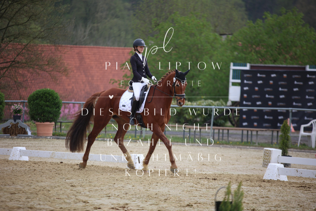 IMGT7291 | pl-fotografie