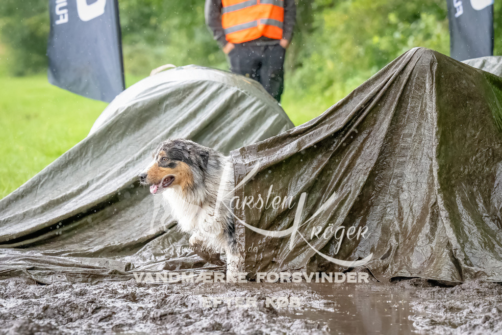 0931_ZZ91114-Bearbeitet | kk-dogfotos