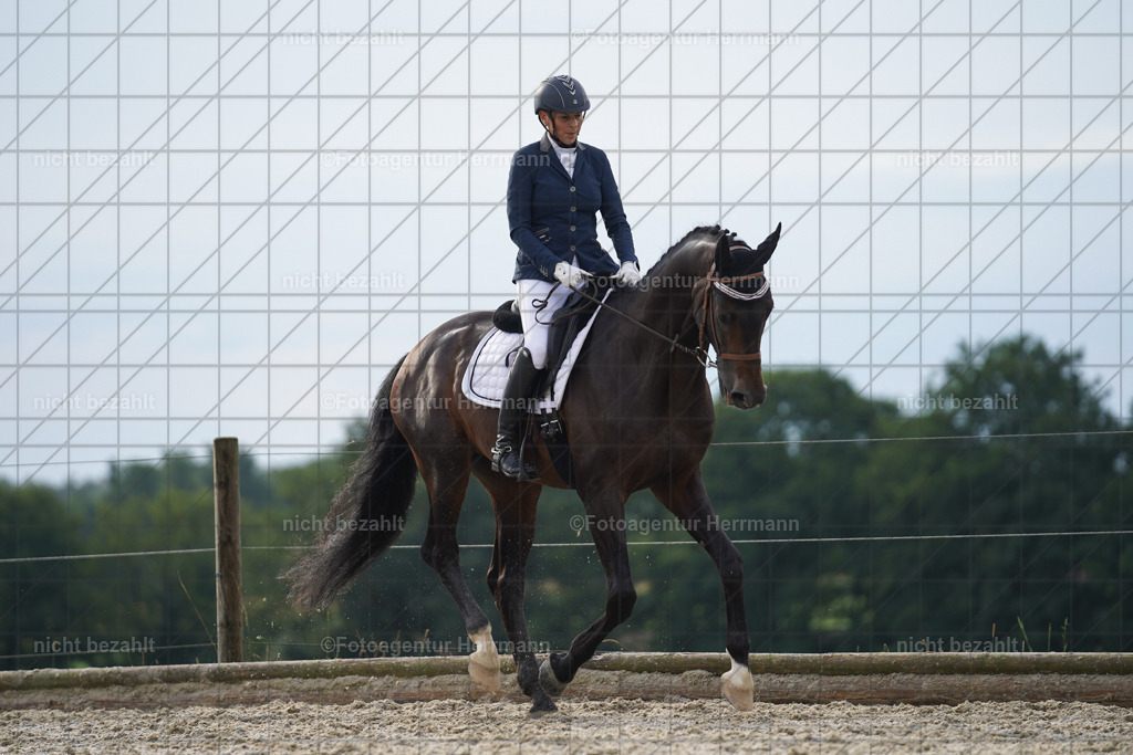 20230826-FAH04493 | Forstinning, 2023, Dressurturnier, Turniersportbilder, Turnierfotografen Bayern, Fotoagentur Herrmann, Reitsportfotografie, Turnierbilder