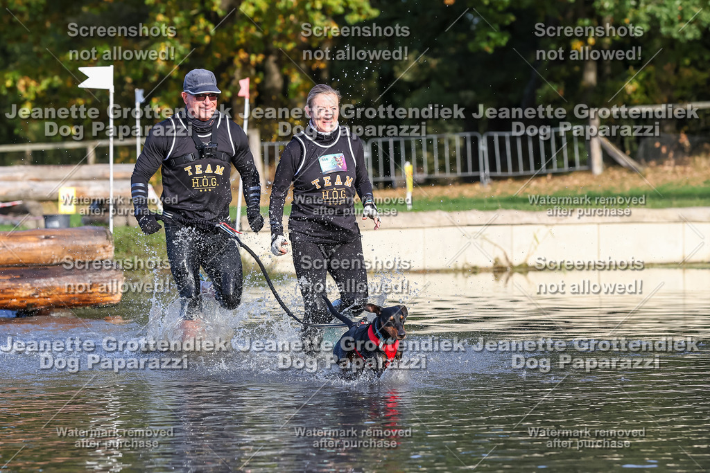 Dog Paparazzi - Strongdog 10-25-8456 | Dog Paparazzi Jeanette Grottendiek Fotografie & Videografie - Realisiert mit Pictrs.com