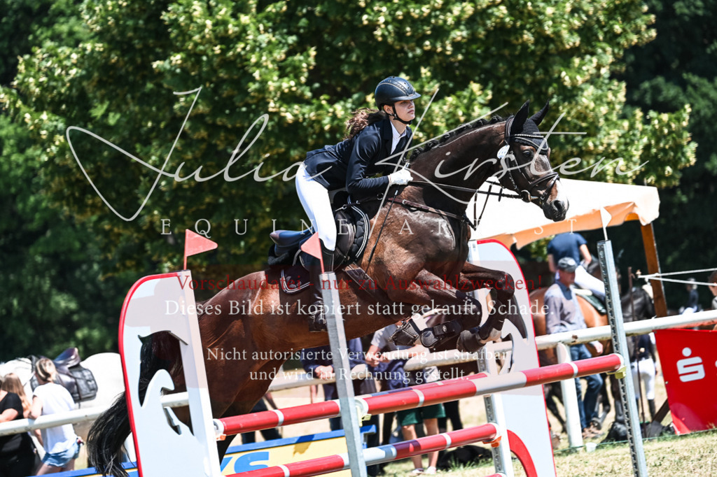 DSC_0438 | Pferde- und Turnierfotografie in Westsachsen. Pferdeportraits, Auftragszeichnungen und intuitive Kunst.