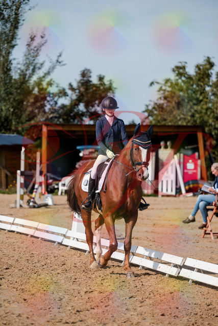 2026_10_03_Siefer-Hof_123654_Z63_54547654 | Professionelle Reitsport-, Turnier- und Eventfotografie von Robert Broda. Galerien mit ausgewählten und bearbeiteten Bildern direkt online ansehen und bestellen.