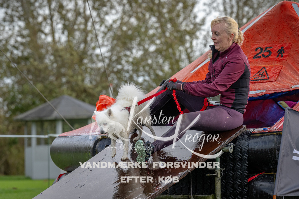 1217-93168 | kk-dogfotos