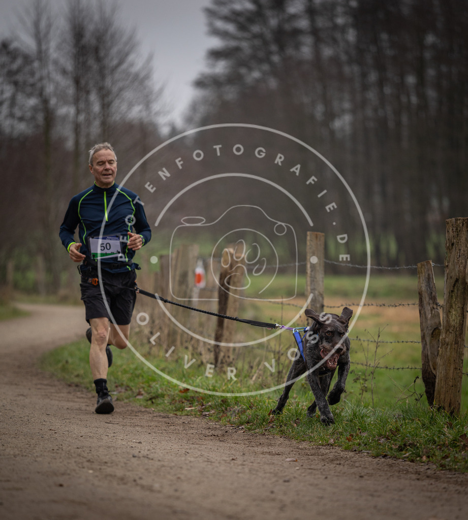 Pfotenfotografie_DV3A2822 | Hundefotografie, Tierfotograf, Pfotenfotografie, Fotoshooting Hund, Hunde Portrait, Hundesport, Hundeportraits, Heideshooting, Hunde, Sportfotograf, Hundefotograf, Turnierhundsport, THS,  - Realisiert mit Pictrs.com