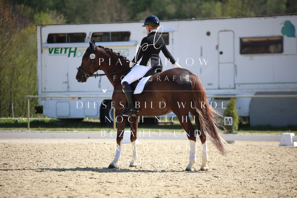 IMGT2615 | pl-fotografie