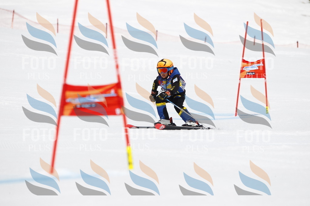 _U3G6912 | holidayphoto