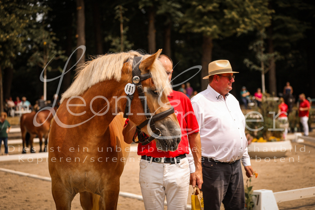 SaSieger00034 | Leoni Ertmer Photography - Realisiert mit Pictrs.com