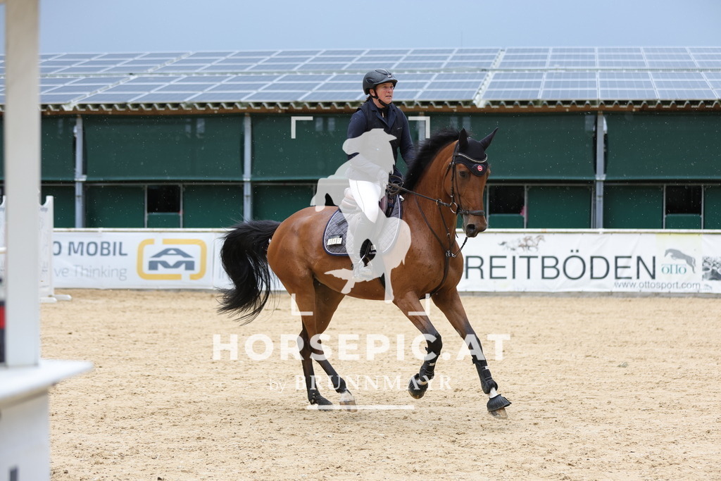 0P6A3968 | Willkommen bei Brunnmayr - Design & Fotografie – Ihrem Spezialisten für Reitturniere und Pferdeveranstaltungen in Oberösterreich, Salzburg und Bayern! Seit über 17 Jahren sind wir leidenschaftlich dabei.