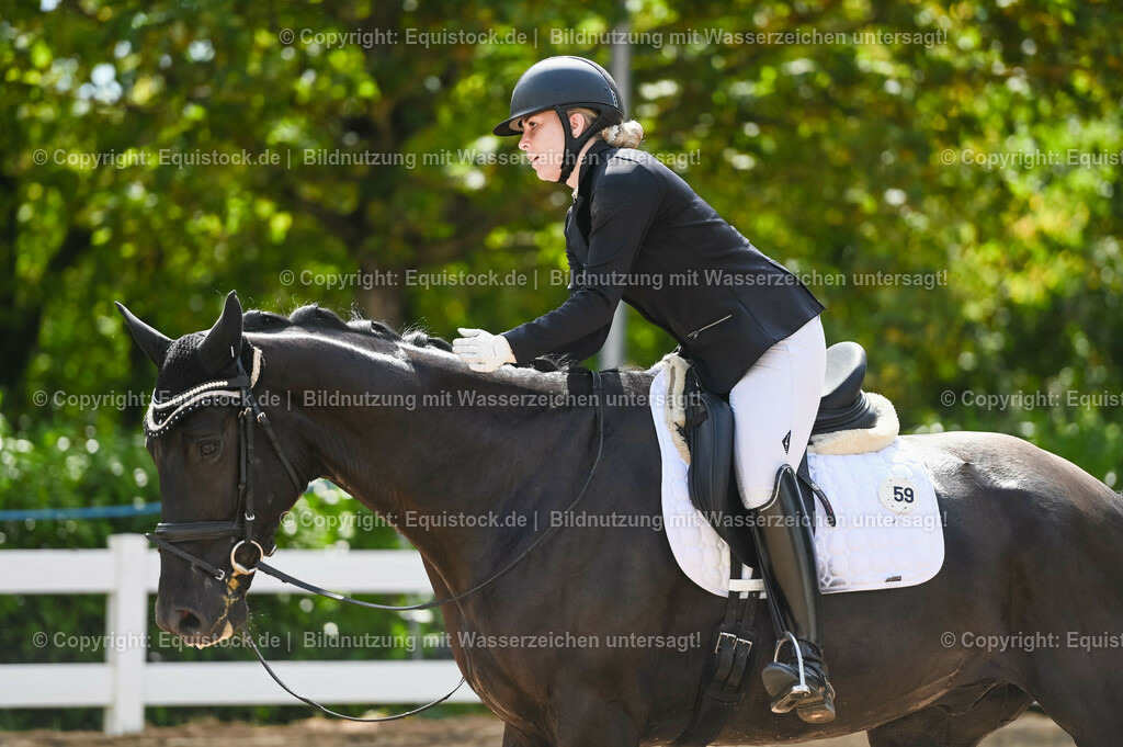 20230715_07_Dressurpferdeprfg. Kl.L_0165 | equistock