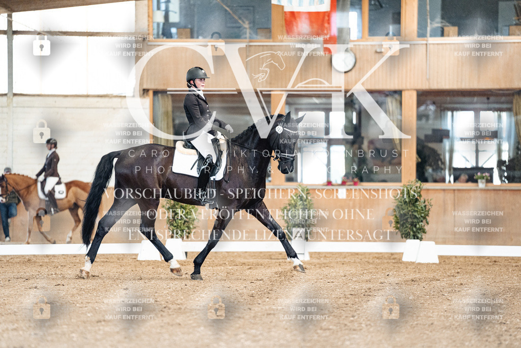 CK900705 | Turnierfotografie Pferdefotografie Trier Rheinland-Pfalz Pferdesport Reitsport Tierfotografie Sportfotografie Pferdevideo Pferdevideografie Equestrianvideography equestrianphotography  - Realized with Pictrs.com