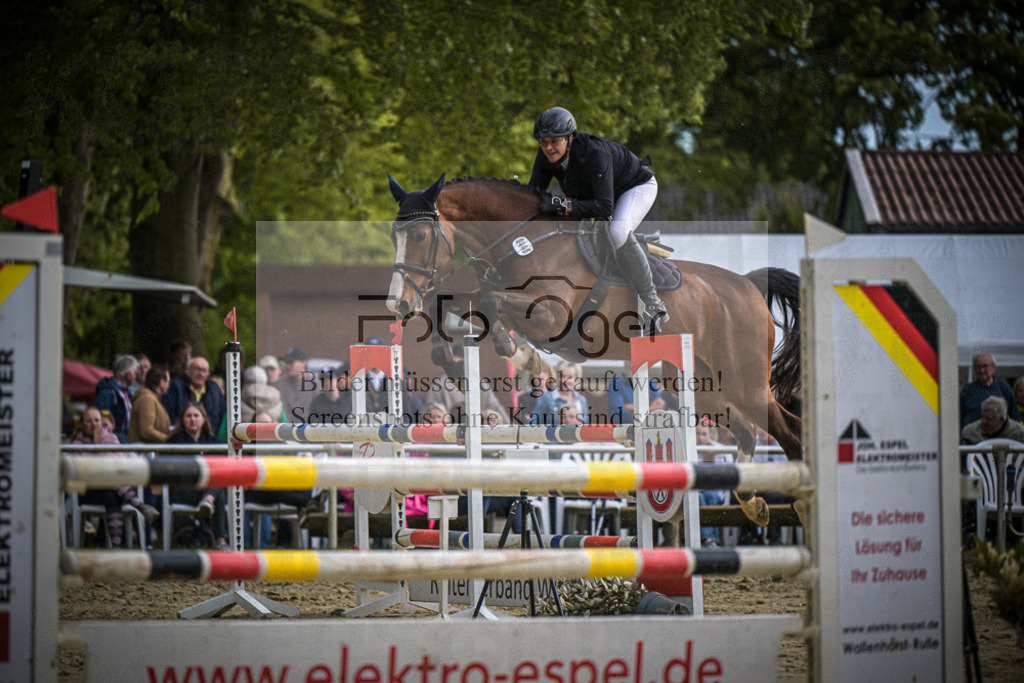 DOS_2799 | Entdecke hochwertige Reitturnierfotos von Foto Oger. Professionell, emotional und authentisch – jetzt Lieblingsmomente im Shop bestellen.Deutschlandweite Turnierfotografie. - Realisiert mit Pictrs.com