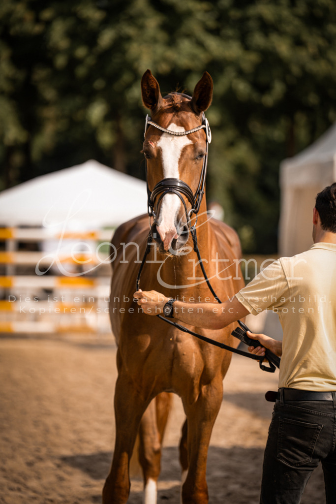FrER00119 | Leoni Ertmer Photography - Realisiert mit Pictrs.com