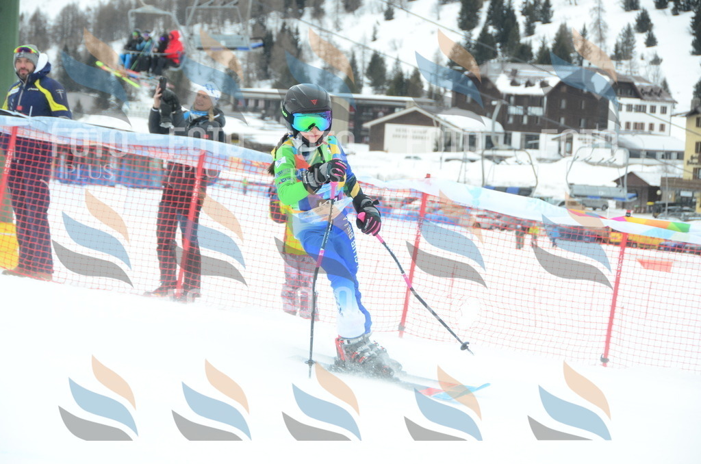 DSC_0867 | holidayphoto