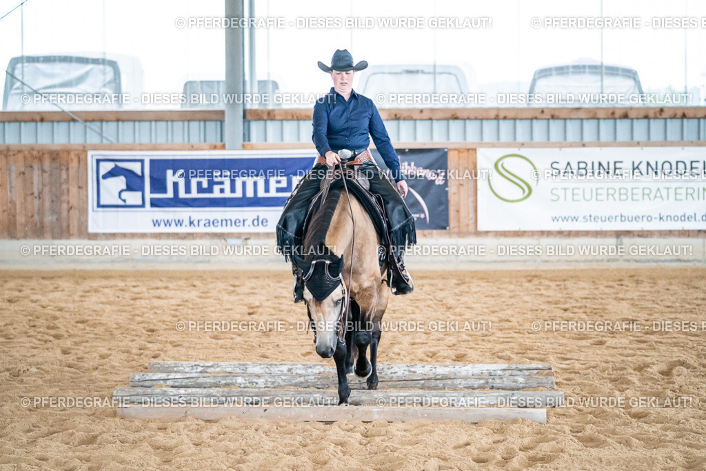 DSC03400 | Pferdegrafie