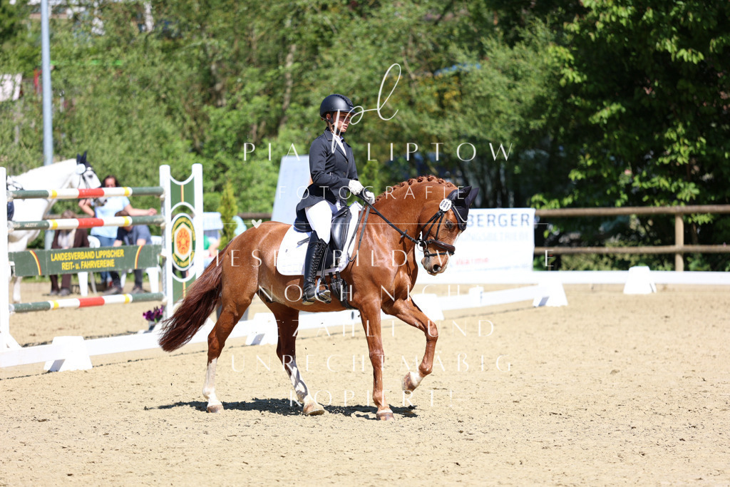 IMGS1436 | pl-fotografie