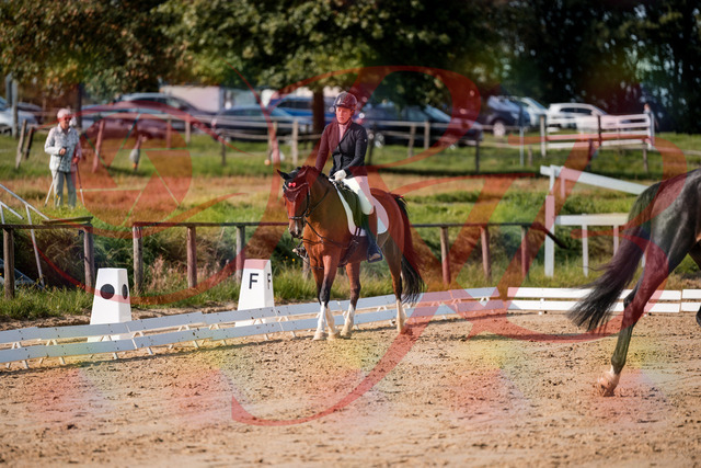 2026_10_03_Siefer-Hof_115502_Z63_30405296 | Professionelle Reitsport-, Turnier- und Eventfotografie von Robert Broda. Galerien mit ausgewählten und bearbeiteten Bildern direkt online ansehen und bestellen.