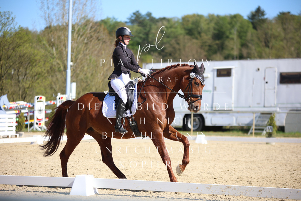 IMGT8705 | pl-fotografie