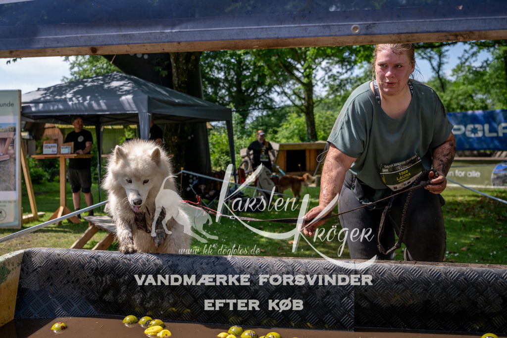 1148_ZZ94934 | kk-dogfotos
