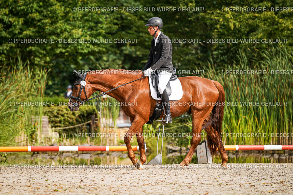 DSC01621 | Pferdegrafie